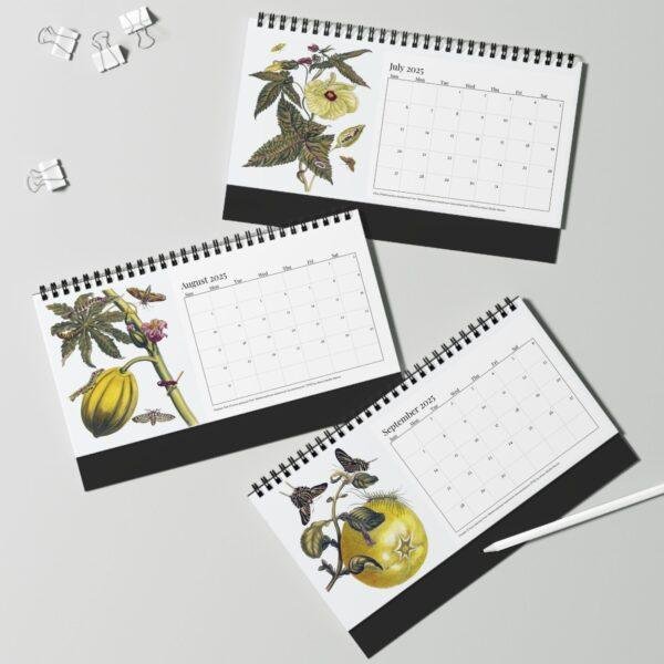 Maria Sibylla Merian Desk Calendar, Spiral-Bound Monthly Organizer, Artistic Gift for Teachers and Historians