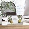 Maria Sibylla Merian Desk Calendar, Spiral-Bound Monthly Organizer, Artistic Gift for Teachers and Historians