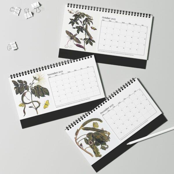 Maria Sibylla Merian Desk Calendar, Spiral-Bound Monthly Organizer, Artistic Gift for Teachers and Historians