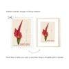 Botanical Calendar – Cactus Gallery Art, Cacti Illustration, Plant Artwork, Semi-Glossy Paper