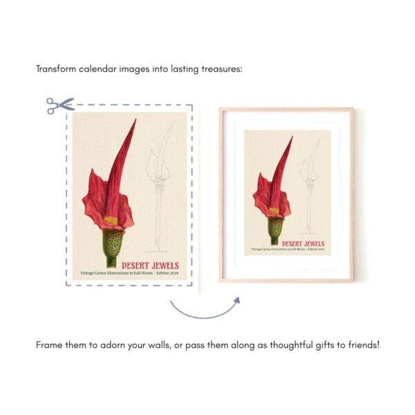 Botanical Calendar – Cactus Gallery Art, Cacti Illustration, Plant Artwork, Semi-Glossy Paper