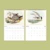 Birds of Australia Wall Calendar – John Gould Art, Ornithology Gift, Semi-Glossy Paper
