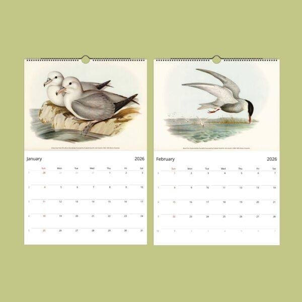Birds of Australia Wall Calendar – John Gould Art, Ornithology Gift, Semi-Glossy Paper