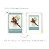 Birds of Australia Wall Calendar – John Gould Art, Ornithology Gift, Semi-Glossy Paper