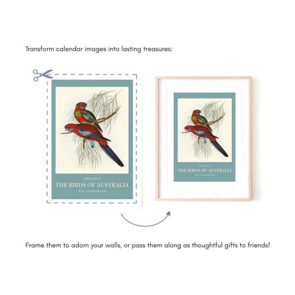 Birds of Australia Wall Calendar – John Gould Art, Ornithology Gift, Semi-Glossy Paper