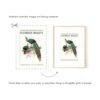 Natural History Wall Calendar – Dutch Artist, Joseph Smit, Victorian Bird Art, Semi-Glossy Paper