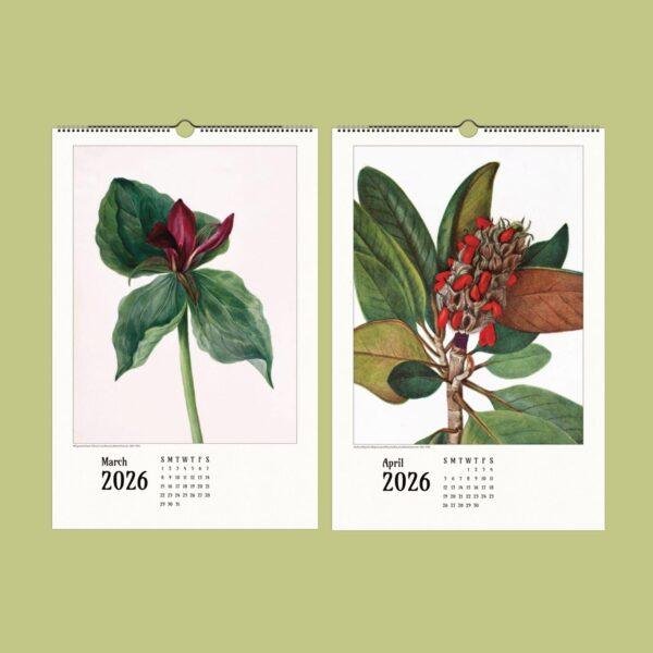 Wild Flowers Wall Calendar – Mary Vaux Walcott's Victorian Art Work, Semi-Glossy Paper