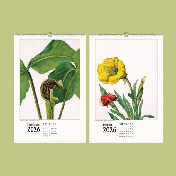 Wild Flowers Wall Calendar – Mary Vaux Walcott's Victorian Art Work, Semi-Glossy Paper