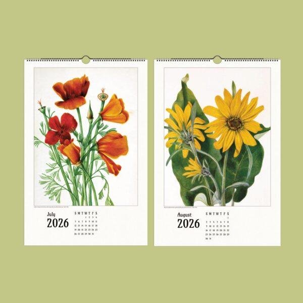 Wild Flowers Wall Calendar – Mary Vaux Walcott's Victorian Art Work, Semi-Glossy Paper