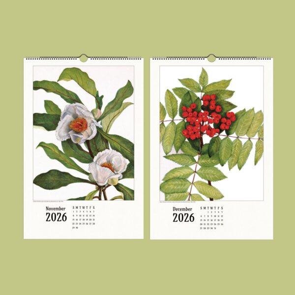 Wild Flowers Wall Calendar – Mary Vaux Walcott's Victorian Art Work, Semi-Glossy Paper