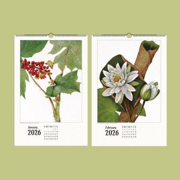 Wild Flowers Wall Calendar – Mary Vaux Walcott's Victorian Art Work, Semi-Glossy Paper
