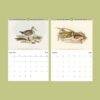 Birds of Australia Wall Calendar – John Gould Art, Ornithology Gift, Semi-Glossy Paper