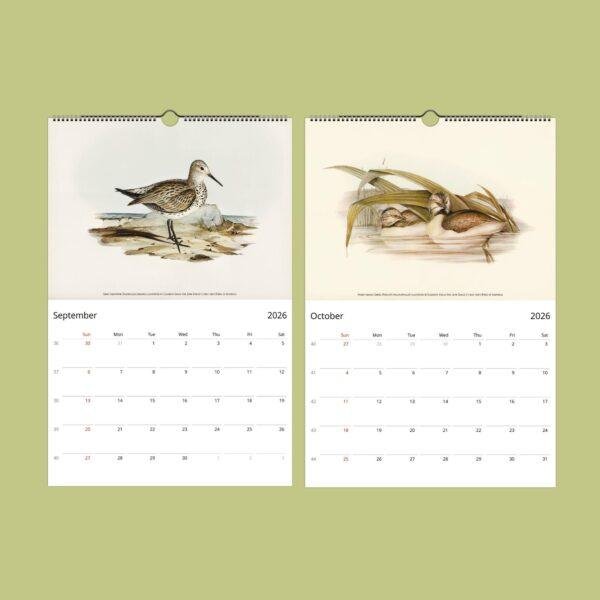 Birds of Australia Wall Calendar – John Gould Art, Ornithology Gift, Semi-Glossy Paper