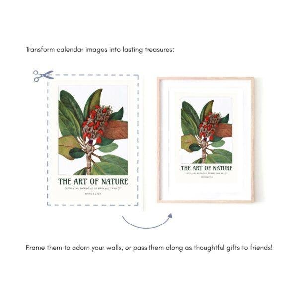 Wild Flowers Wall Calendar – Mary Vaux Walcott's Victorian Art Work, Semi-Glossy Paper