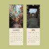 Ireland Wall Calendar – Irish Landscape, Emerald Isle, Heritage & Decor Gift, Semi-Glossy Paper