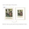 Mark Catesby Wall Calendar - British Artist, 18th Century Art, Biologist Gift, Semi-Glossy Paper