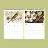 Mark Catesby Wall Calendar - British Artist, 18th Century Art, Biologist Gift, Semi-Glossy Paper