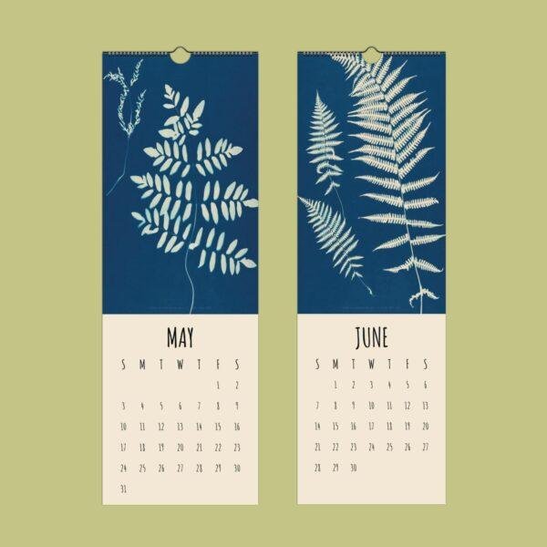 Blue Cyanotype Fern Wall Calendar Slimline – Botanical Art Print by Ella Hurd