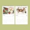 Mark Catesby Wall Calendar - British Artist, 18th Century Art, Biologist Gift, Semi-Glossy Paper
