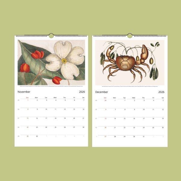 Mark Catesby Wall Calendar - British Artist, 18th Century Art, Biologist Gift, Semi-Glossy Paper