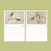 Sidney Hall Wall Calendar: Antique Constellation & Zodiac Sign Illustrations | Vintage Astronomy and Old World Maps | Unique Calendar Gift