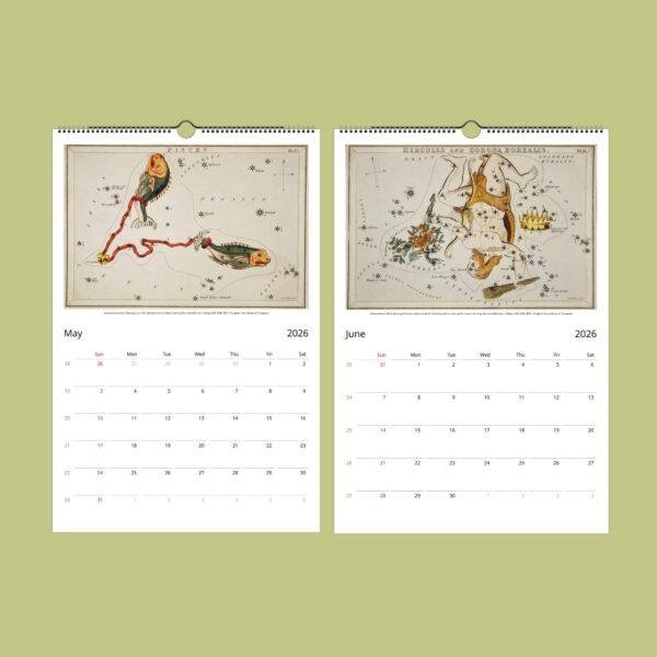 Sidney Hall Wall Calendar: Antique Constellation & Zodiac Sign Illustrations | Vintage Astronomy and Old World Maps | Unique Calendar Gift