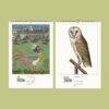 Ethereal Wonders – Wall Calendar of Renaissance Artwork & Medieval Craft, Semi-Glossy Paper