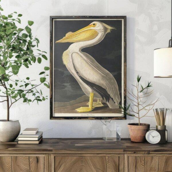 White Pelican Audubon Print - John James Audubon Bird Watching Art, Vintage White Pelican Wall Decor, Birds of America Poster