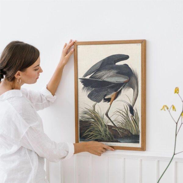 Blue Heron Bird Audubon Print - John James Audubon Bird Watching Art, Vintage Blue Heron Wall Decor, Birds of America Poster