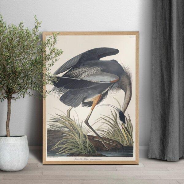 Blue Heron Bird Audubon Print - John James Audubon Bird Watching Art, Vintage Blue Heron Wall Decor, Birds of America Poster