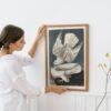 Peregrine Falcon Audubon Print - John James Audubon Bird Watching Art, Bird of Prey Wall Decor, Vintage Birds of America Poster