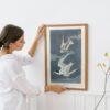 Least Tern Audubon Print - John James Audubon Bird Watching Art, Vintage Least Tern Wall Decor, Birds of America Poster