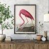 Pink Flamingo Audubon Print - John James Audubon Bird Watching Art, Vintage Pink Flamingo Wall Decor, Birds of America Poster