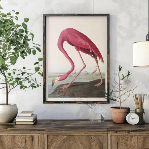Pink Flamingo Audubon Print - John James Audubon Bird Watching Art, Vintage Pink Flamingo Wall Decor, Birds of America Poster