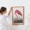 Pink Flamingo Audubon Print - John James Audubon Bird Watching Art, Vintage Pink Flamingo Wall Decor, Birds of America Poster