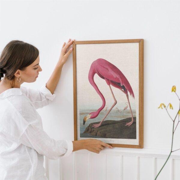 Pink Flamingo Audubon Print - John James Audubon Bird Watching Art, Vintage Pink Flamingo Wall Decor, Birds of America Poster