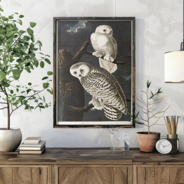 Snowy White Owl Audubon Print - John James Audubon Bird Watching Art, Vintage Owl Wall Decor, Birds of America Poster