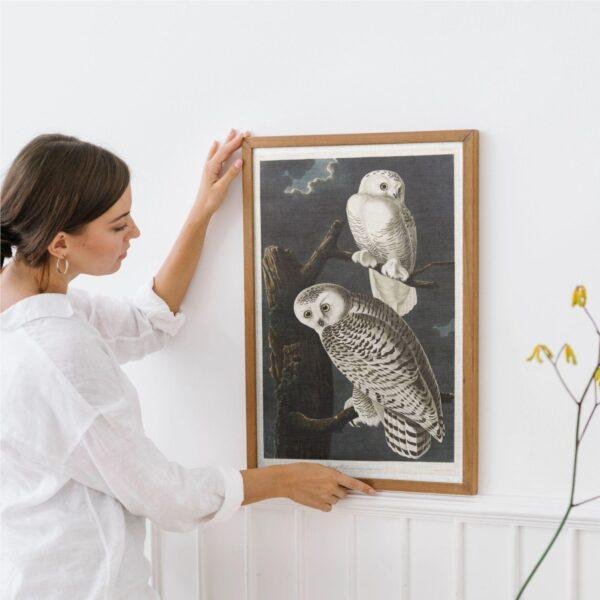 Snowy White Owl Audubon Print - John James Audubon Bird Watching Art, Vintage Owl Wall Decor, Birds of America Poster