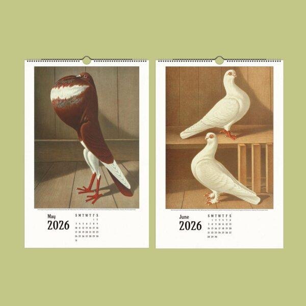 Antique Bird Art Calendar – Pigeon Illustrations, Birdie Artwork, Semi-Glossy Paper