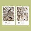 Insect Calendar - Plant and Insect Art by Jules Rothschild, Semi-Glossy Paper