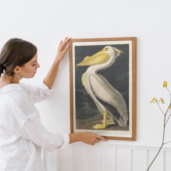 White Pelican Audubon Print - John James Audubon Bird Watching Art, Vintage White Pelican Wall Decor, Birds of America Poster