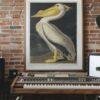 White Pelican Audubon Print - John James Audubon Bird Watching Art, Vintage White Pelican Wall Decor, Birds of America Poster