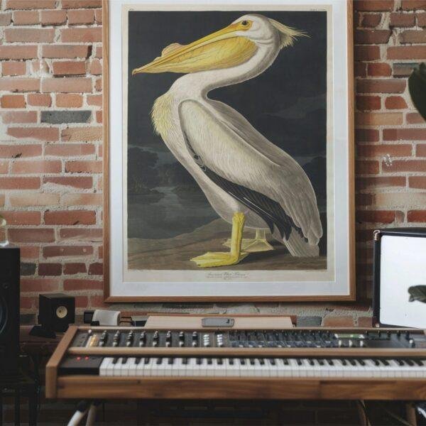 White Pelican Audubon Print - John James Audubon Bird Watching Art, Vintage White Pelican Wall Decor, Birds of America Poster