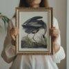 Blue Heron Bird Audubon Print - John James Audubon Bird Watching Art, Vintage Blue Heron Wall Decor, Birds of America Poster
