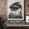 Blue Heron Bird Audubon Print - John James Audubon Bird Watching Art, Vintage Blue Heron Wall Decor, Birds of America Poster
