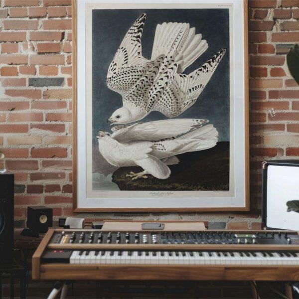 Peregrine Falcon Audubon Print - John James Audubon Bird Watching Art, Bird of Prey Wall Decor, Vintage Birds of America Poster