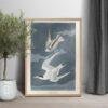 Least Tern Audubon Print - John James Audubon Bird Watching Art, Vintage Least Tern Wall Decor, Birds of America Poster