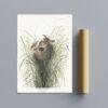 Audubon Lesser Marsh Wren Print: Vintage Birds of America Wall Art