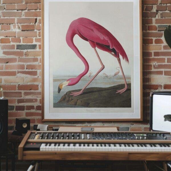 Pink Flamingo Audubon Print - John James Audubon Bird Watching Art, Vintage Pink Flamingo Wall Decor, Birds of America Poster