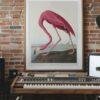 Pink Flamingo Audubon Print - John James Audubon Bird Watching Art, Vintage Pink Flamingo Wall Decor, Birds of America Poster
